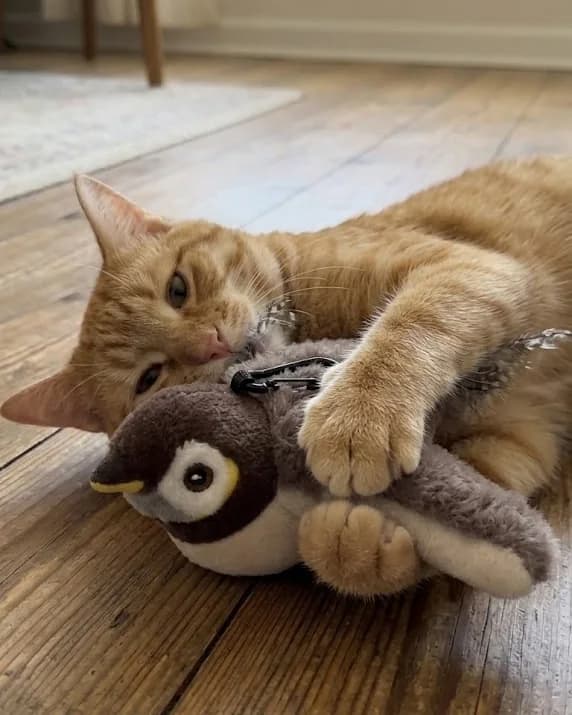 Uccellino interattivo per gatti